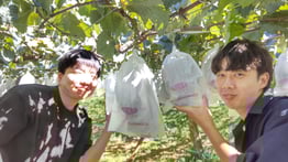 20230909_フルーツ狩り